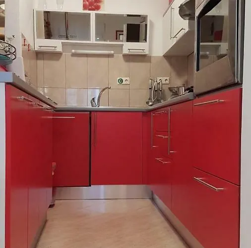 公寓 Leon 希贝尼克