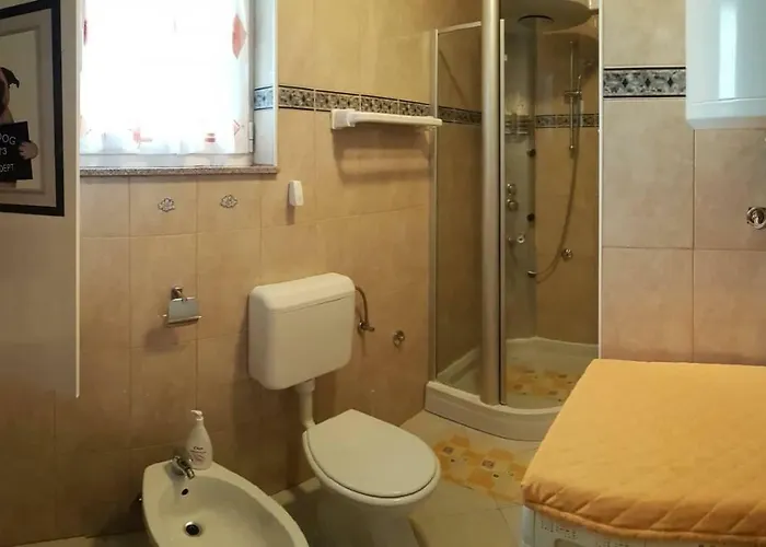 公寓 Leon 希贝尼克