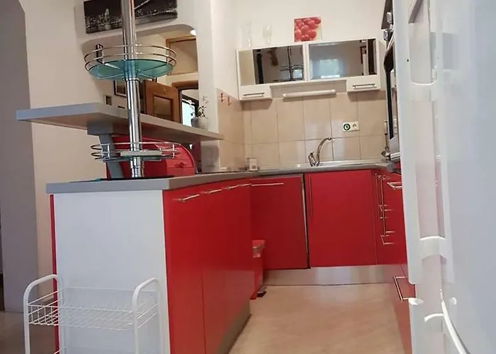 Leon 公寓 希贝尼克